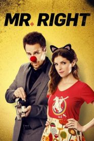 Mr. Right (2015) HD