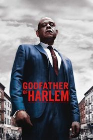 Godfather of Harlem – SEZONI 1