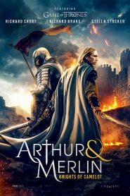 Arthur & Merlin: Knights of Camelot (2020)