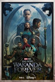 Black Panther: Wakanda Forever (2022)